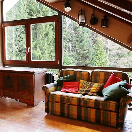 Fewo Schwarzwaldblick, 3 Schlafzimmer Todtnau-Muggenbrunn, Liftverbund Feldberg Dış mekan fotoğraf