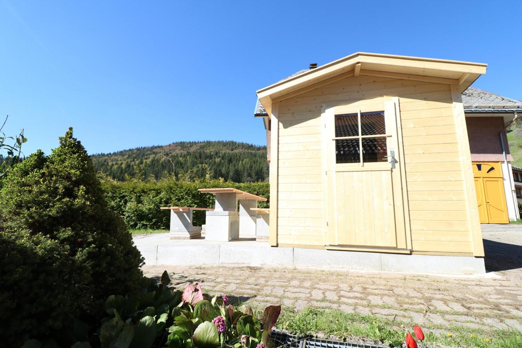 Fewo Schwarzwaldblick, 3 Schlafzimmer Todtnau-Muggenbrunn, Liftverbund Feldberg Dış mekan fotoğraf