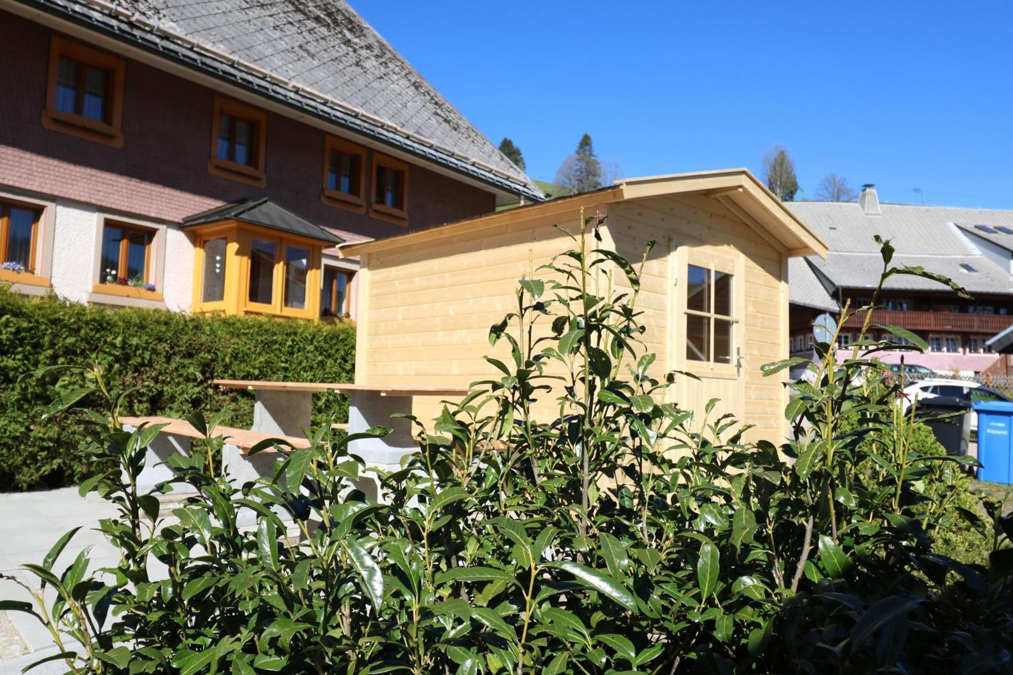 Fewo Schwarzwaldblick, 3 Schlafzimmer Todtnau-Muggenbrunn, Liftverbund Feldberg Dış mekan fotoğraf