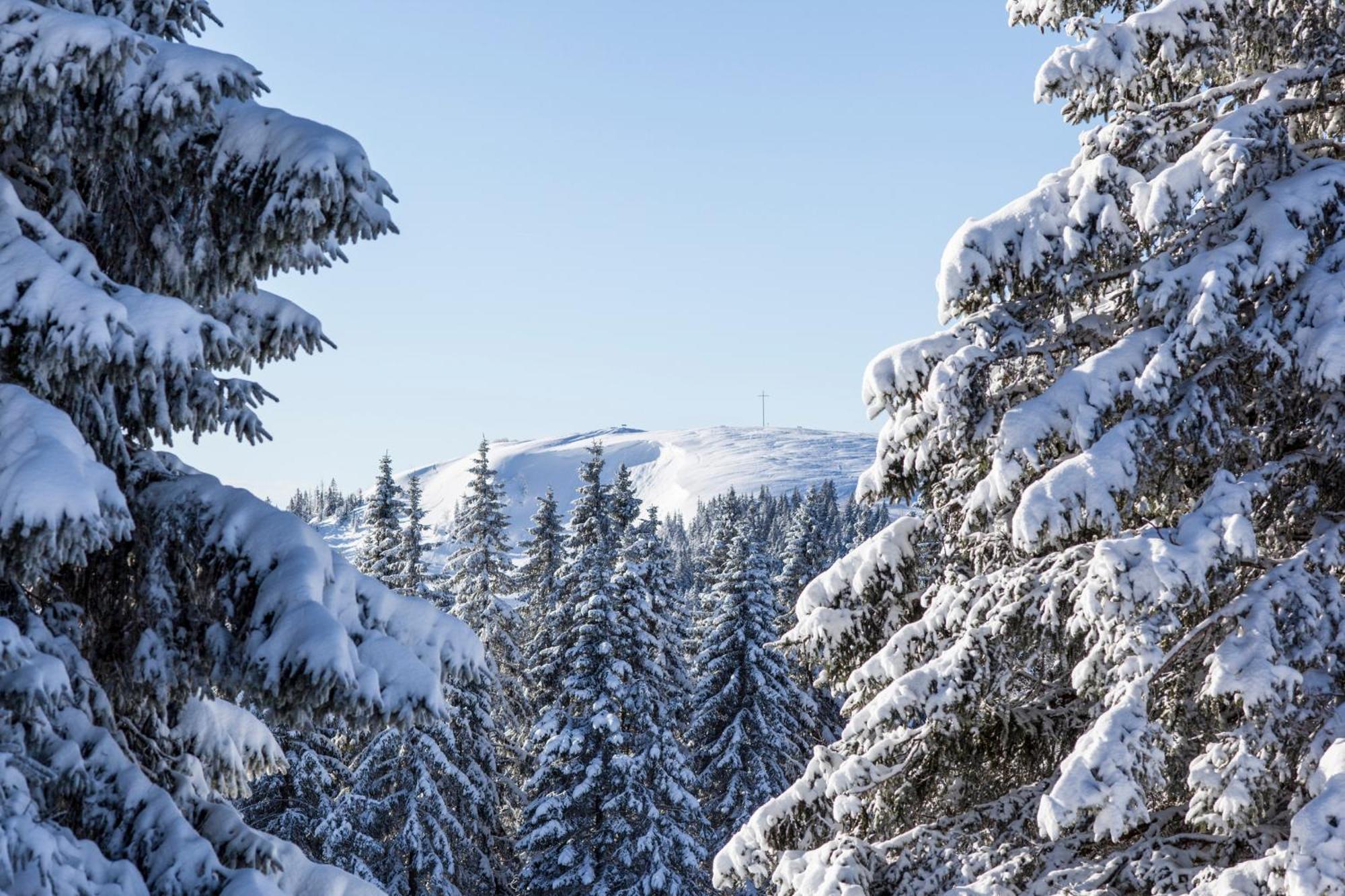 Fewo Schwarzwaldblick, 3 Schlafzimmer Todtnau-Muggenbrunn, Liftverbund Feldberg Dış mekan fotoğraf